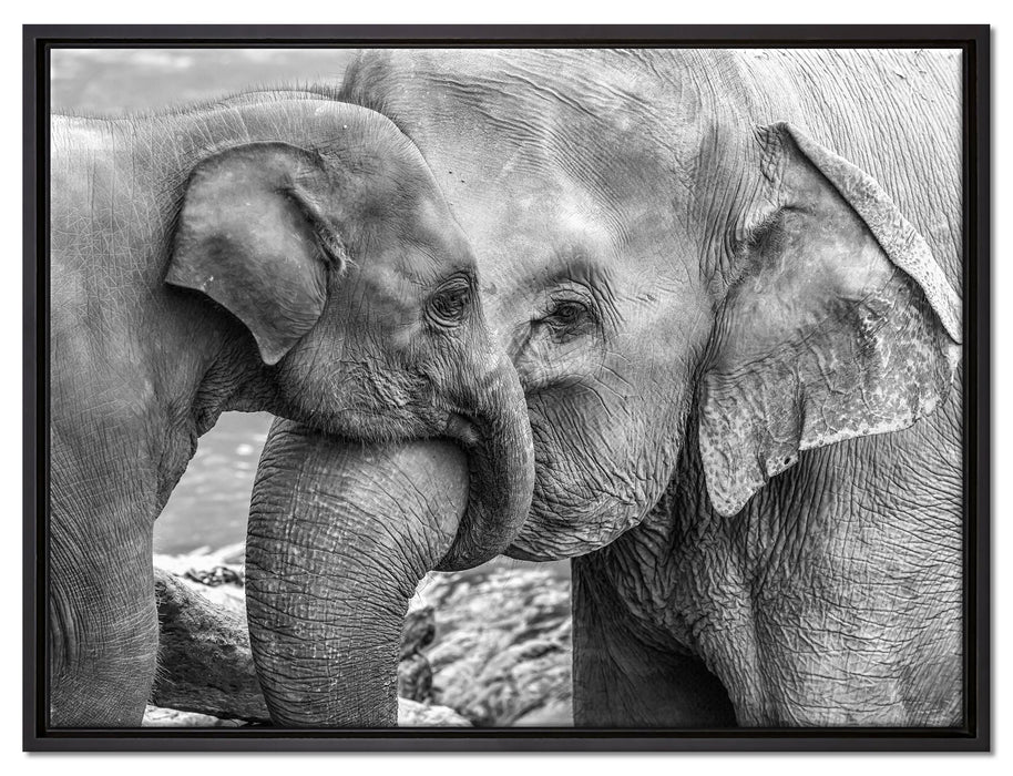 Elefantenmutter mit Kalb B&W auf Leinwandbild gerahmt Größe 80x60