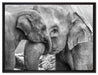 Elefantenmutter mit Kalb B&W auf Leinwandbild gerahmt Größe 80x60