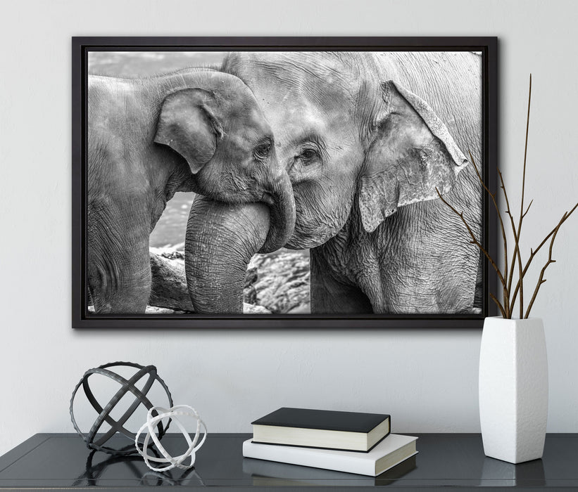 Elefantenmutter mit Kalb B&W auf Leinwandbild gerahmt mit Kirschblüten