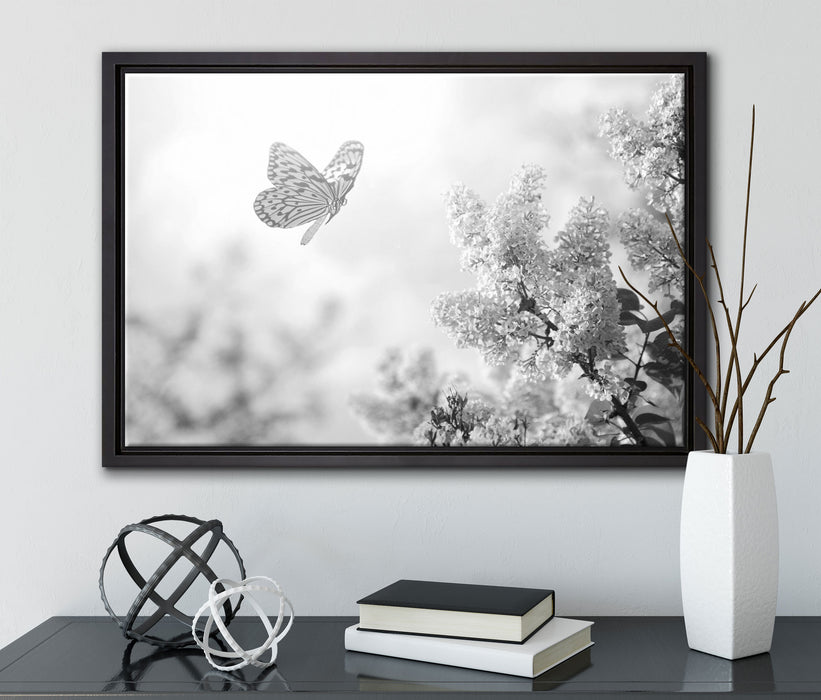 Schmetterling Kirschblüten auf Leinwandbild gerahmt mit Kirschblüten