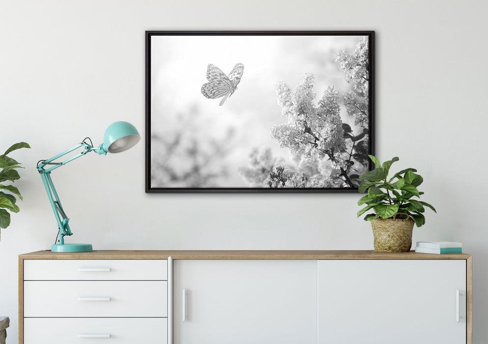 Schmetterling Kirschblüten auf Leinwandbild gerahmt verschiedene Größen im Wohnzimmer