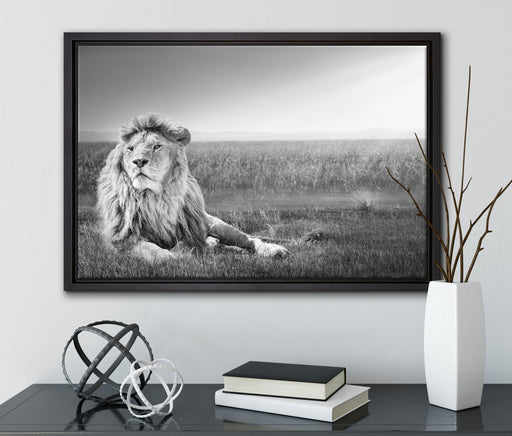 Majestätischer Löwe Kunst B&W auf Leinwandbild gerahmt mit Kirschblüten
