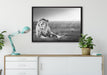Majestätischer Löwe Kunst B&W auf Leinwandbild gerahmt verschiedene Größen im Wohnzimmer