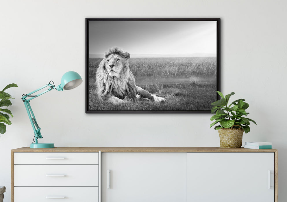 Majestätischer Löwe Kunst B&W auf Leinwandbild gerahmt verschiedene Größen im Wohnzimmer