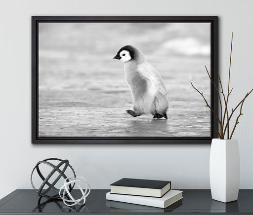 Kaiserpinguinkücken auf Leinwandbild gerahmt mit Kirschblüten