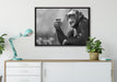 Aufmerksamer Schimpanse Kunst B&W auf Leinwandbild gerahmt verschiedene Größen im Wohnzimmer