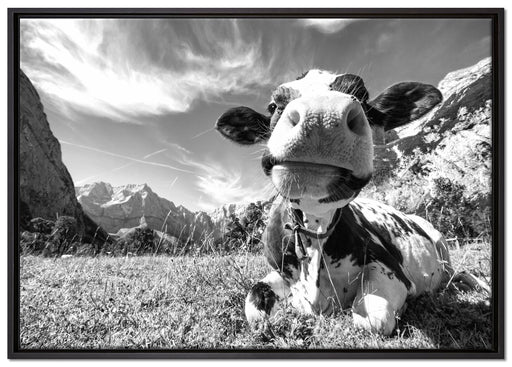 Kuh im Karwendelgebirge Kunst B&W auf Leinwandbild gerahmt Größe 100x70