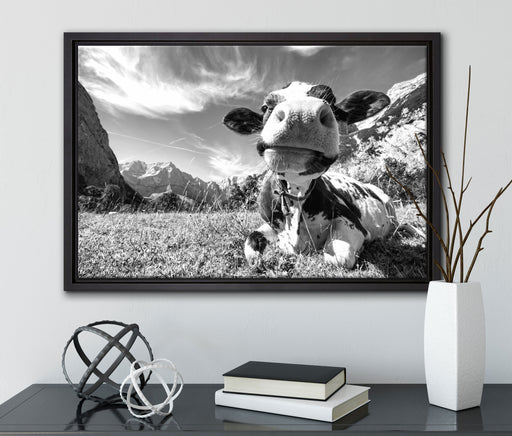 Kuh im Karwendelgebirge Kunst B&W auf Leinwandbild gerahmt mit Kirschblüten