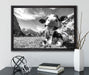 Kuh im Karwendelgebirge Kunst B&W auf Leinwandbild gerahmt mit Kirschblüten