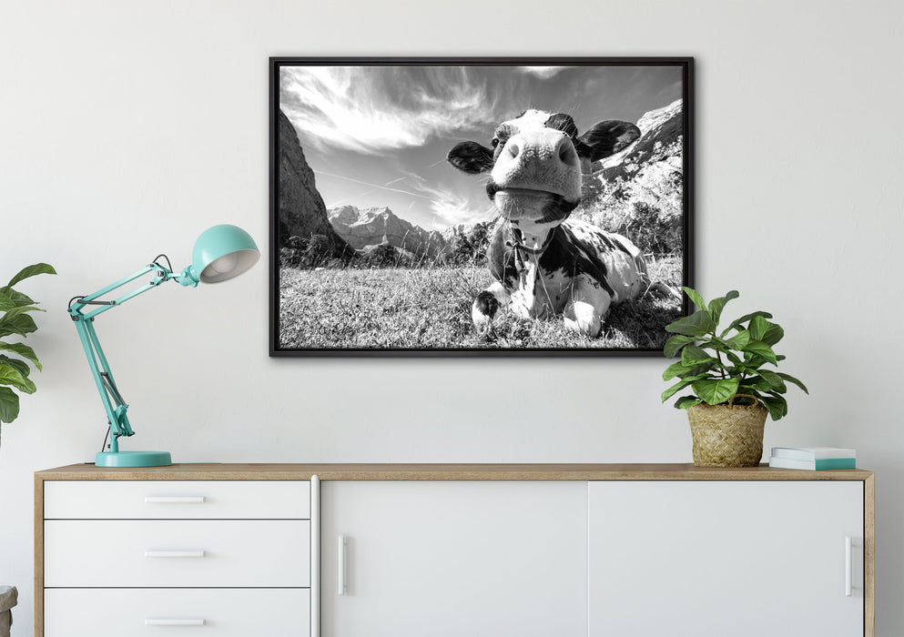 Kuh im Karwendelgebirge Kunst B&W auf Leinwandbild gerahmt verschiedene Größen im Wohnzimmer