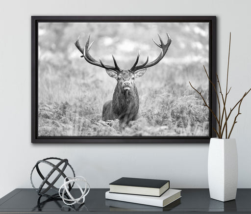 Großer Hirsch im Feld Kunst B&W auf Leinwandbild gerahmt mit Kirschblüten