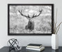 Großer Hirsch im Feld Kunst B&W auf Leinwandbild gerahmt mit Kirschblüten