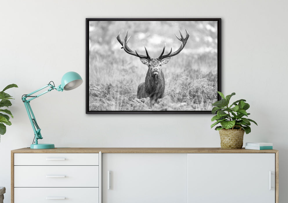Großer Hirsch im Feld Kunst B&W auf Leinwandbild gerahmt verschiedene Größen im Wohnzimmer
