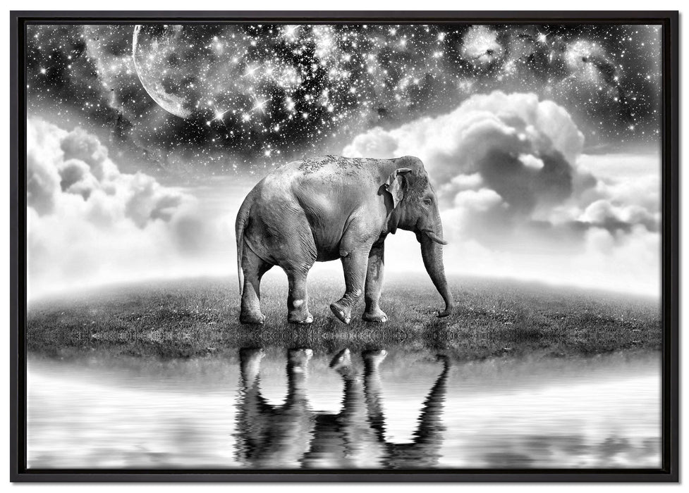 Elefant, Wiese, Himmel, Afrika auf Leinwandbild gerahmt Größe 100x70