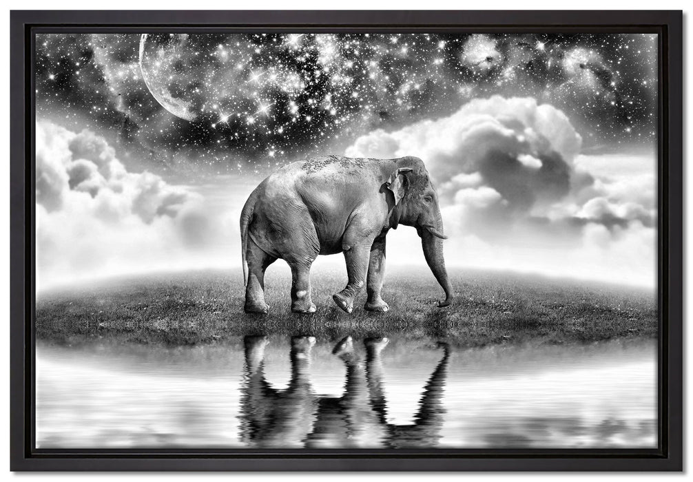 Elefant, Wiese, Himmel, Afrika auf Leinwandbild gerahmt Größe 60x40