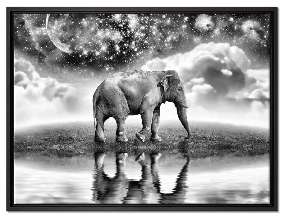Elefant, Wiese, Himmel, Afrika auf Leinwandbild gerahmt Größe 80x60