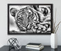 Tiger auf Leinwandbild gerahmt mit Kirschblüten