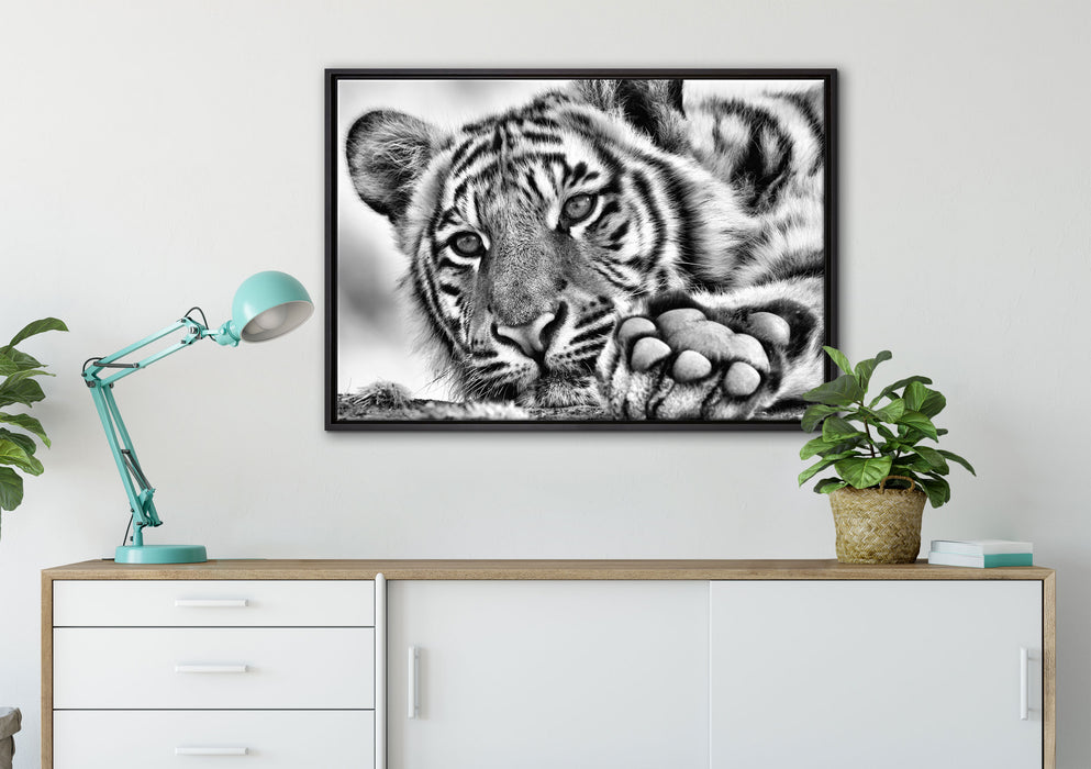 Tiger auf Leinwandbild gerahmt verschiedene Größen im Wohnzimmer