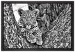 Leopardenbaby auf Leinwandbild gerahmt Größe 60x40