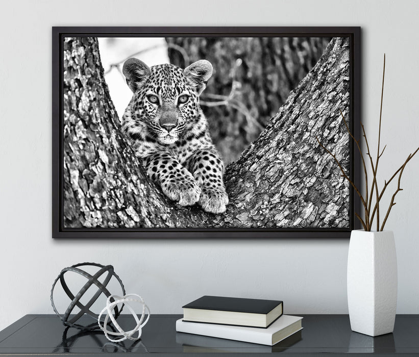 Leopardenbaby auf Leinwandbild gerahmt mit Kirschblüten