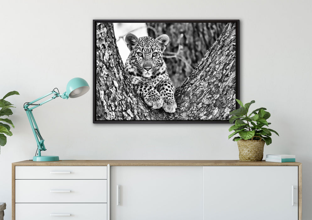 Leopardenbaby auf Leinwandbild gerahmt verschiedene Größen im Wohnzimmer