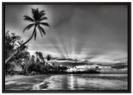 Palmen am Strand auf Leinwandbild gerahmt Größe 100x70