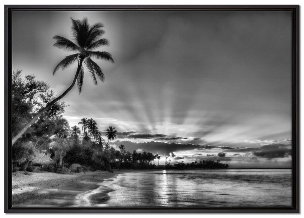 Palmen am Strand auf Leinwandbild gerahmt Größe 100x70