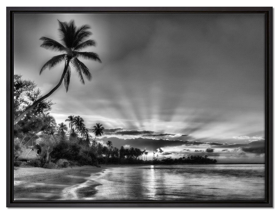 Palmen am Strand auf Leinwandbild gerahmt Größe 80x60