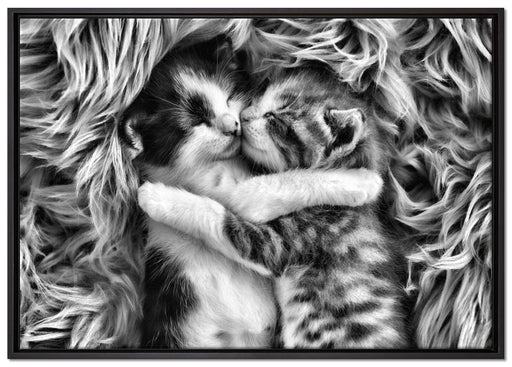 Zwei kuschelnde Kätzchen auf Leinwandbild gerahmt Größe 100x70