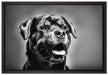 Treuer Rottweiler auf Leinwandbild gerahmt Größe 60x40