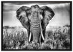 Imposanter Elefant auf Leinwandbild gerahmt Größe 100x70
