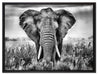 Imposanter Elefant auf Leinwandbild gerahmt Größe 80x60