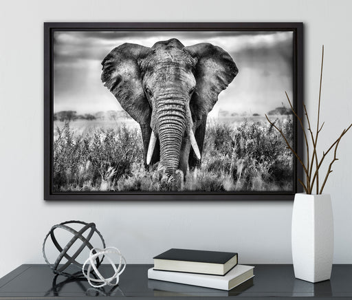 Imposanter Elefant auf Leinwandbild gerahmt mit Kirschblüten