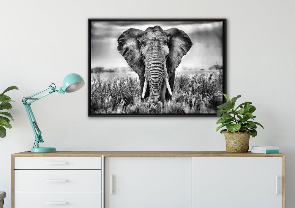 Imposanter Elefant auf Leinwandbild gerahmt verschiedene Größen im Wohnzimmer