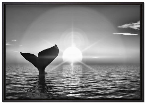 Walflosse im Sonnenuntergang auf Leinwandbild gerahmt Größe 100x70