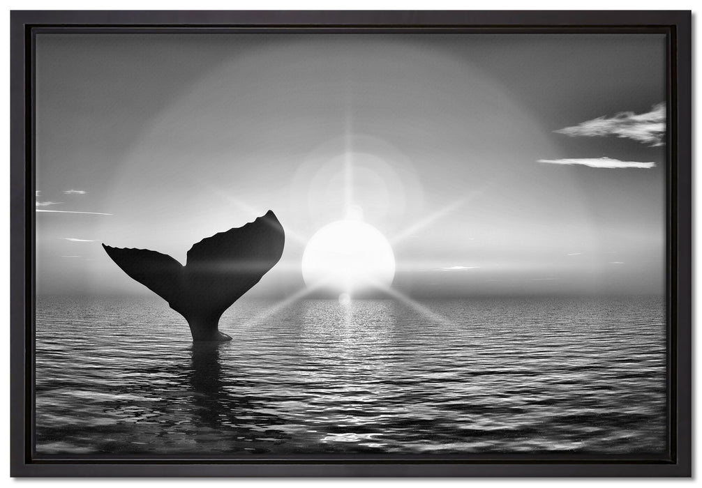 Walflosse im Sonnenuntergang auf Leinwandbild gerahmt Größe 60x40