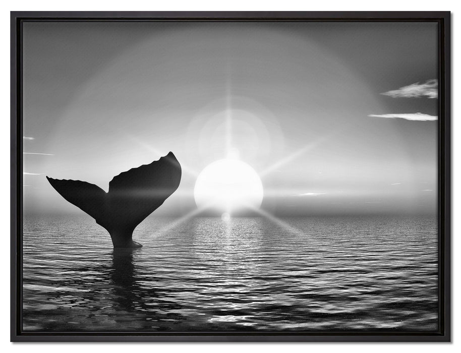 Walflosse im Sonnenuntergang auf Leinwandbild gerahmt Größe 80x60