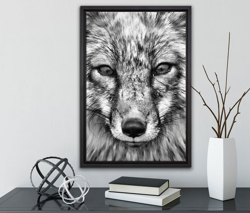 Fuchs Porträt auf Leinwandbild gerahmt mit Kirschblüten