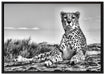 Gepard in Savanne auf Leinwandbild gerahmt Größe 100x70