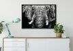 Elefant Porträt auf Leinwandbild gerahmt verschiedene Größen im Wohnzimmer