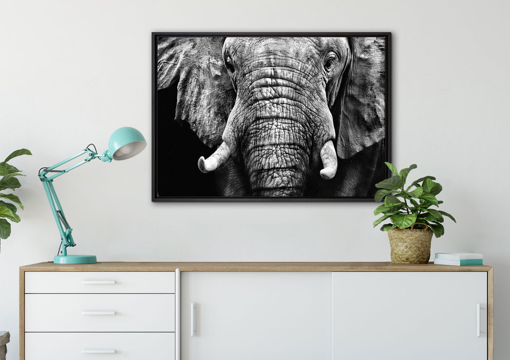 Elefant Porträt auf Leinwandbild gerahmt verschiedene Größen im Wohnzimmer