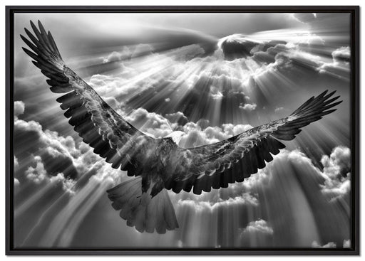 Adler über den Wolken auf Leinwandbild gerahmt Größe 100x70