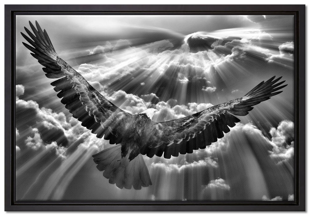 Adler über den Wolken auf Leinwandbild gerahmt Größe 60x40