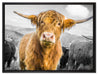 Blick einer Kuh an der Weide auf Leinwandbild gerahmt Größe 80x60