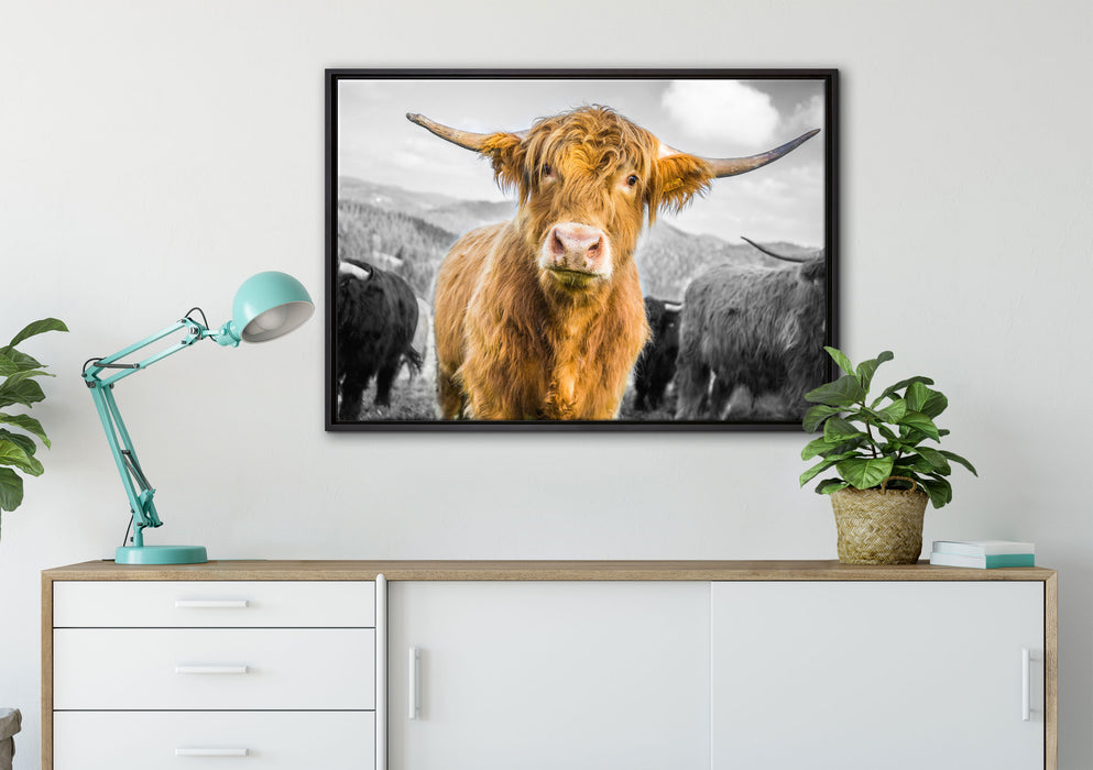 Blick einer Kuh an der Weide auf Leinwandbild gerahmt verschiedene Größen im Wohnzimmer