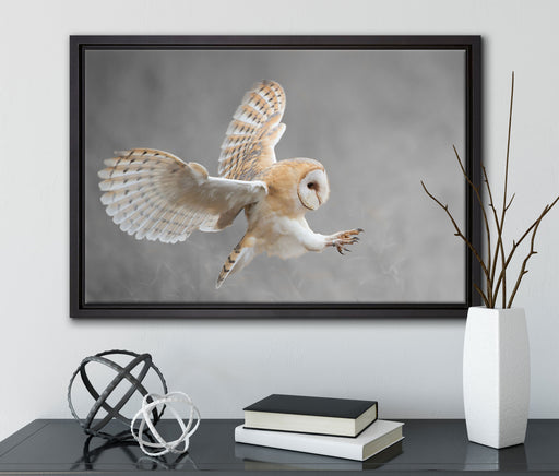 Fliegende Weiße Eule bei der Jagd auf Leinwandbild gerahmt mit Kirschblüten