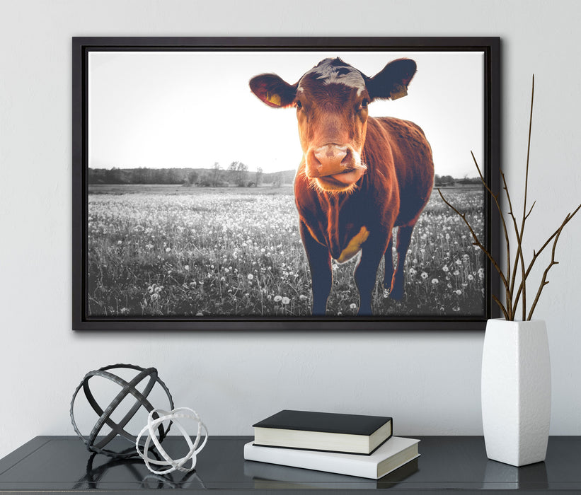 Kuh auf Butterblumenwiese auf Leinwandbild gerahmt mit Kirschblüten