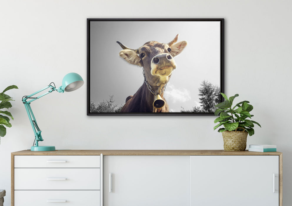 Lustiges Portrait einer Kuh auf Leinwandbild gerahmt verschiedene Größen im Wohnzimmer