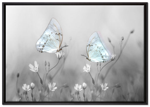 Schmetterling auf kleinen Blumen auf Leinwandbild gerahmt Größe 100x70