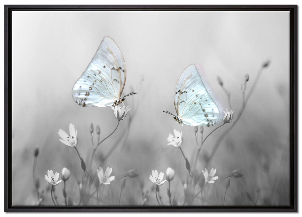 Schmetterling auf kleinen Blumen auf Leinwandbild gerahmt Größe 100x70